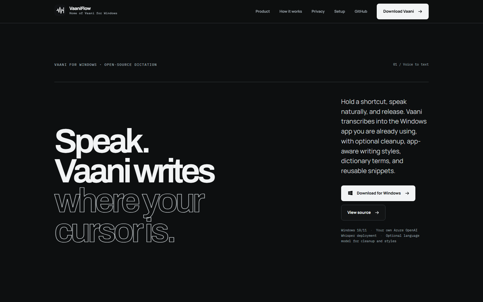 VaaniFlow system-wide Windows voice dictation website